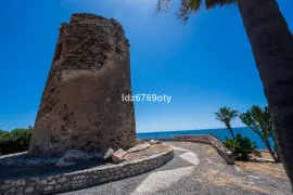 Image 53 thumb
