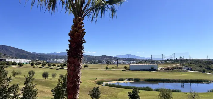Sale of townhouse in Estepona 1