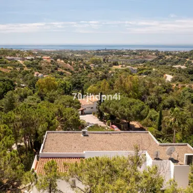 Sale of detached villa in Estepona