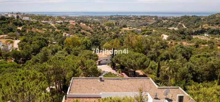 Sale of detached villa in Estepona 1