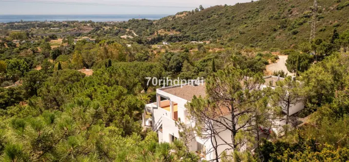 Sale of detached villa in Estepona 2
