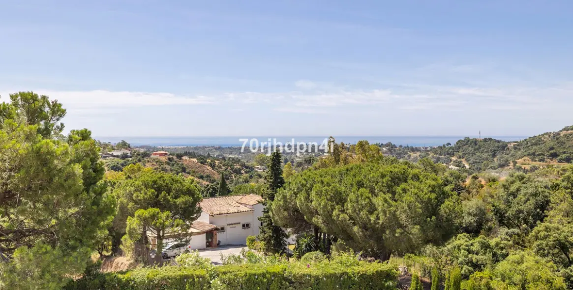 Sale of detached villa in Estepona 125