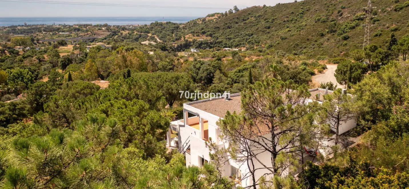 Sale of detached villa in Estepona 2