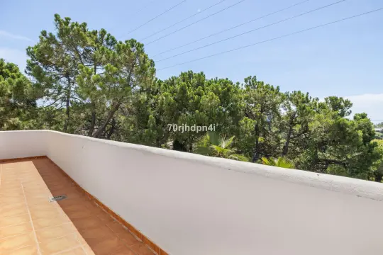 Image 79 thumb