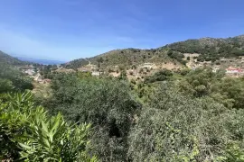 Image 4 thumb