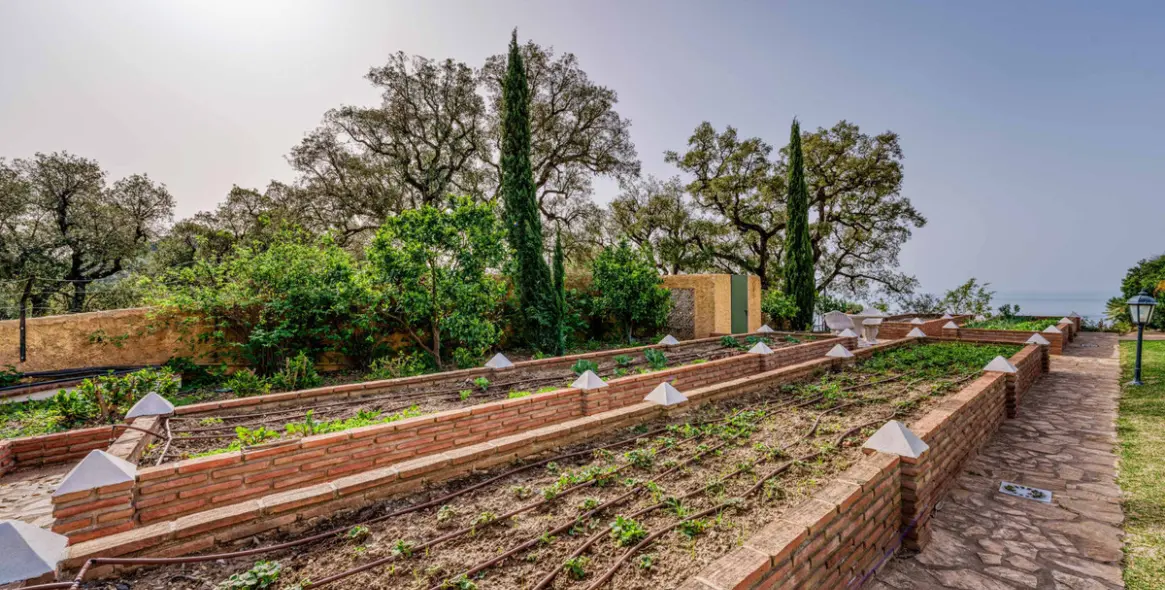 Venta de villa independiente en La Mairena 11