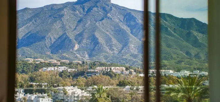 Venta de villa independiente en Nueva Andalucía 0