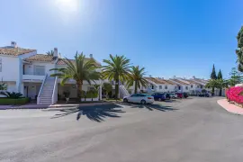 Image 5 thumb