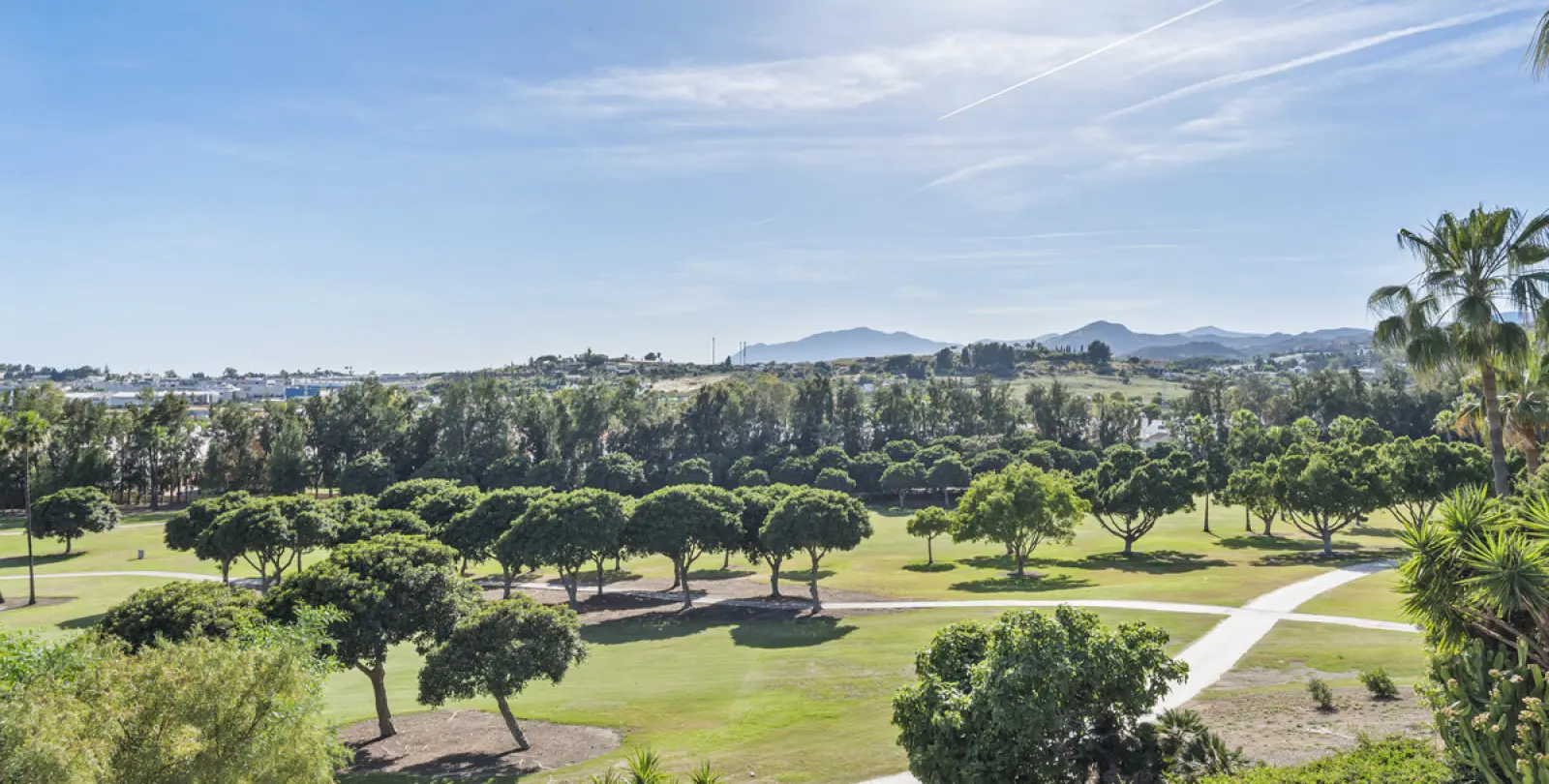Short-term rent of detached villa in Nueva Andalucía 28