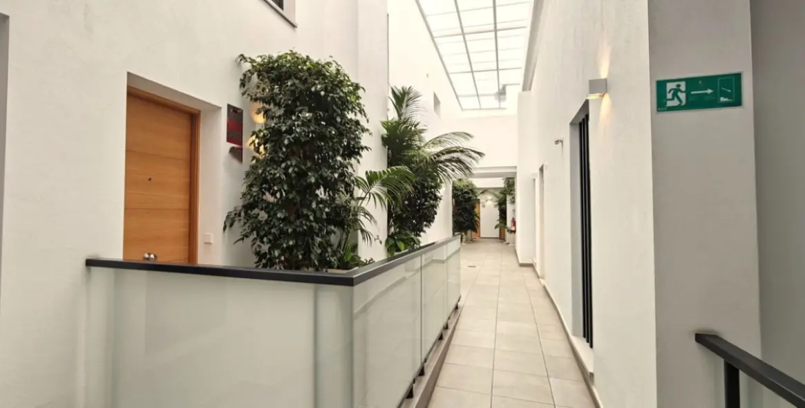 Sale of middle floor apartment in Cancelada 20