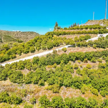 Venta de villa independiente en La Viñuela