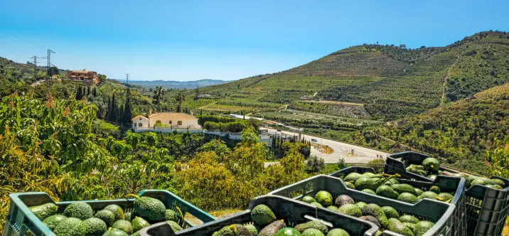 Venta de villa independiente en La Viñuela 3