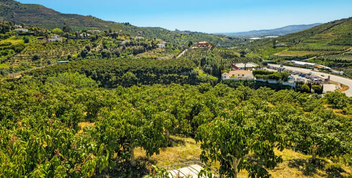 Venta de villa independiente en La Viñuela 37