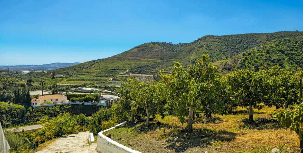 Venta de villa independiente en La Viñuela 39