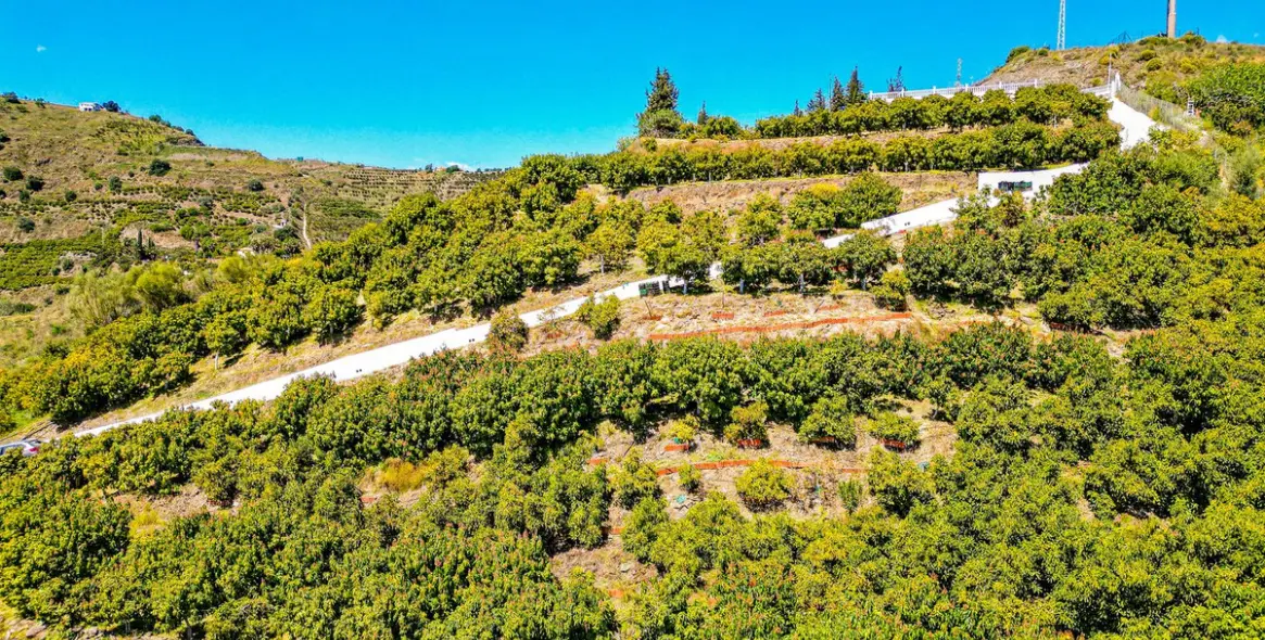 Venta de villa independiente en La Viñuela 50