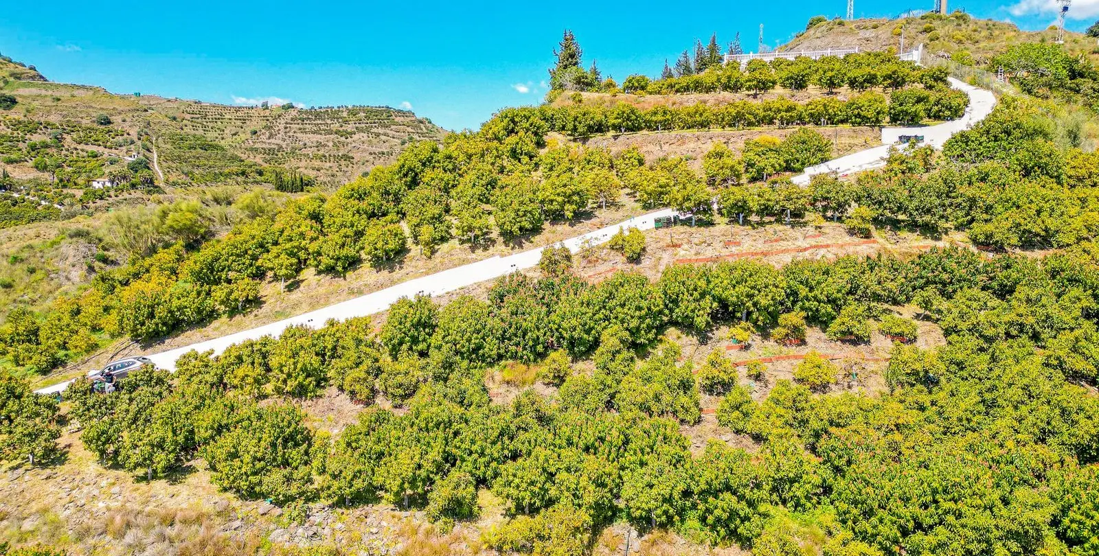 Venta de villa independiente en La Viñuela 3