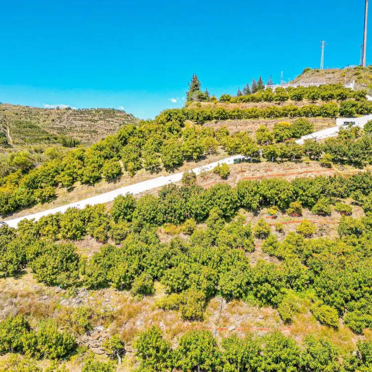 Sale of detached villa in La Viñuela