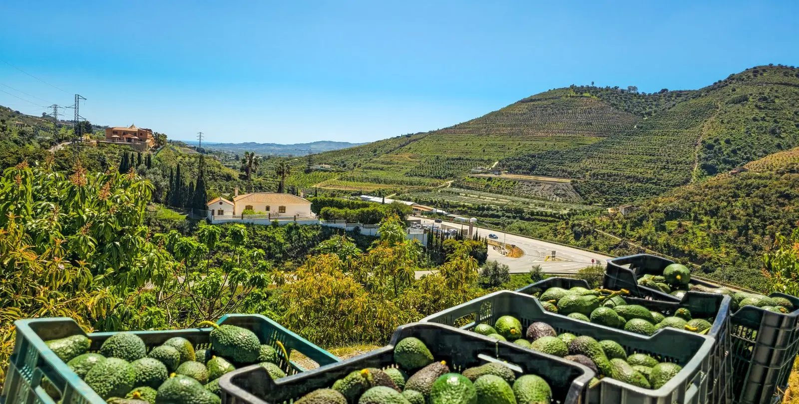Venta de villa independiente en La Viñuela 4