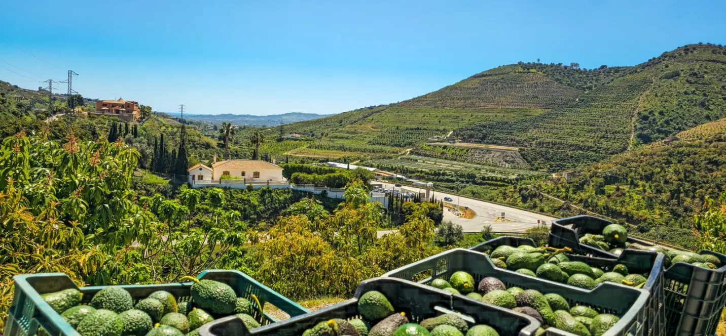 Sale of detached villa in La Viñuela 3