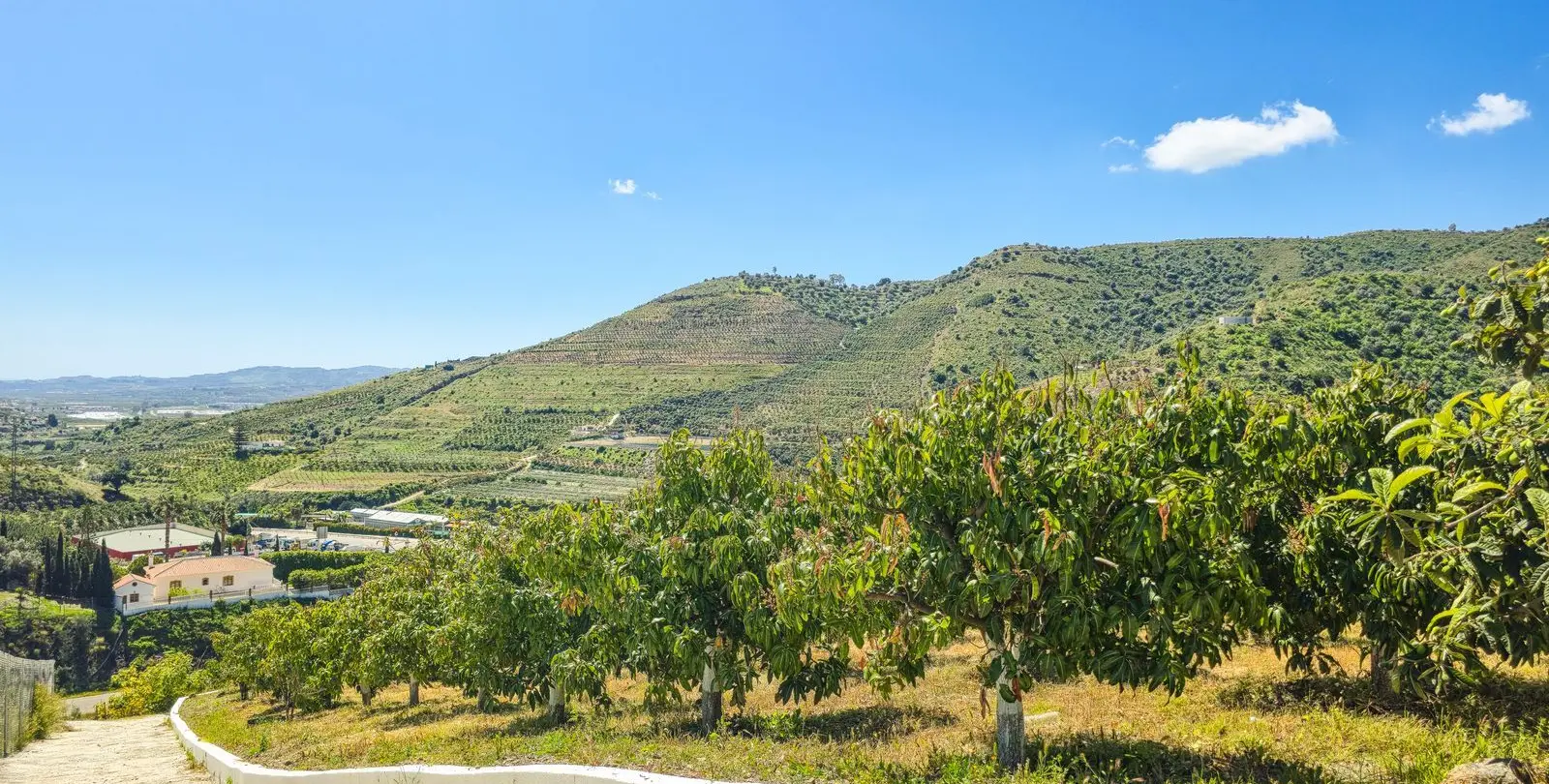 Venta de villa independiente en La Viñuela 38
