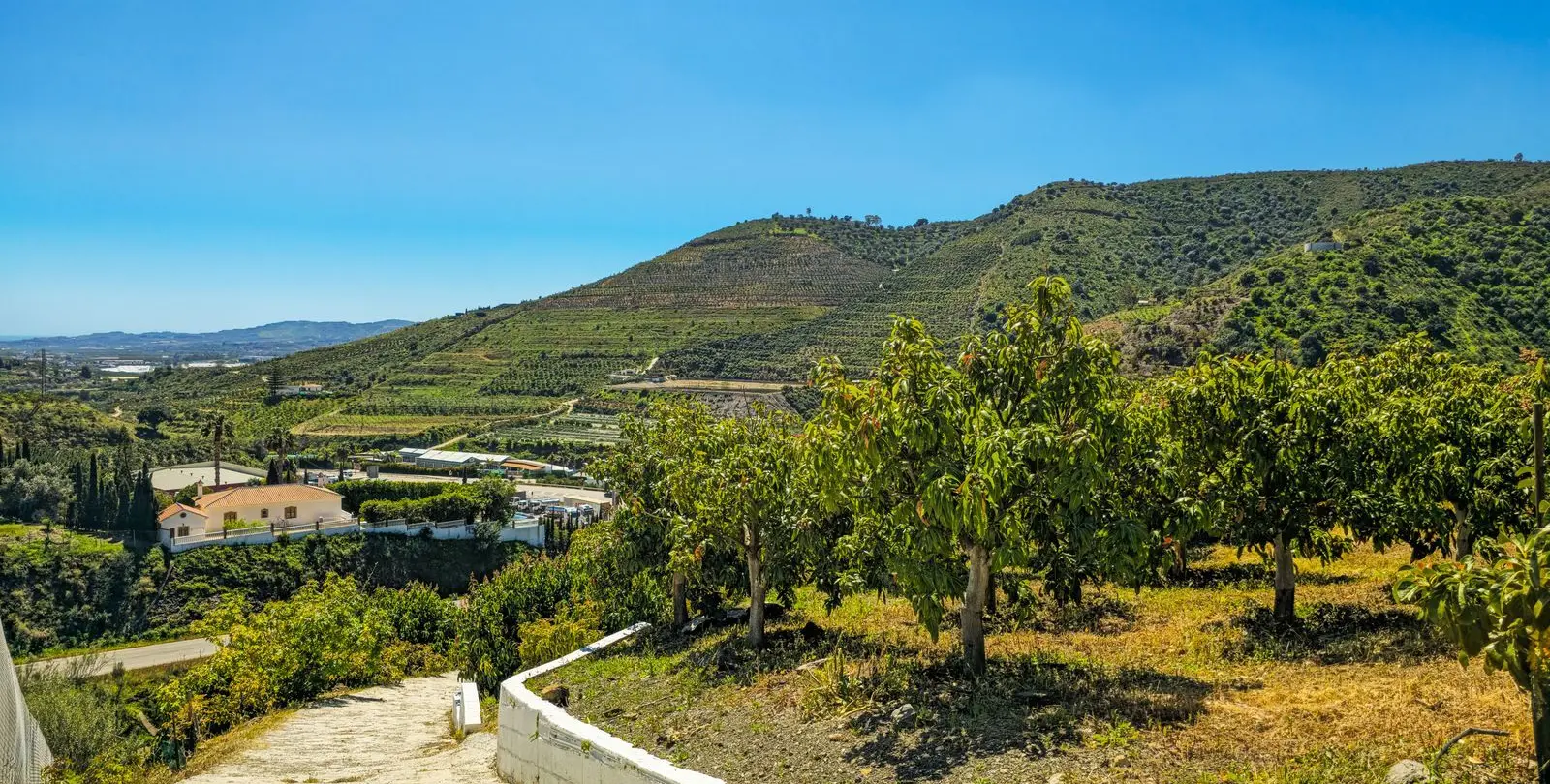 Venta de villa independiente en La Viñuela 39