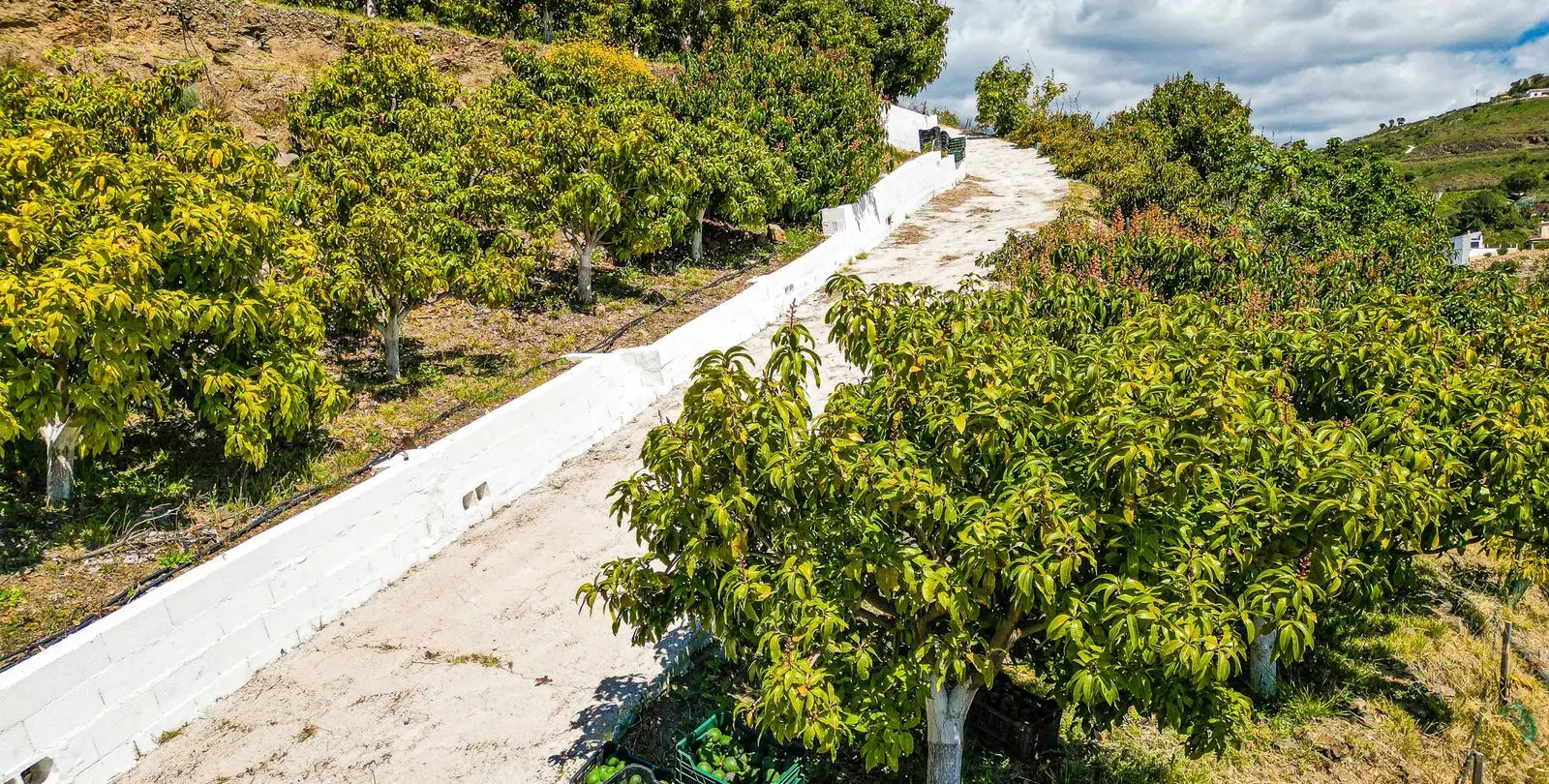 Venta de villa independiente en La Viñuela 45