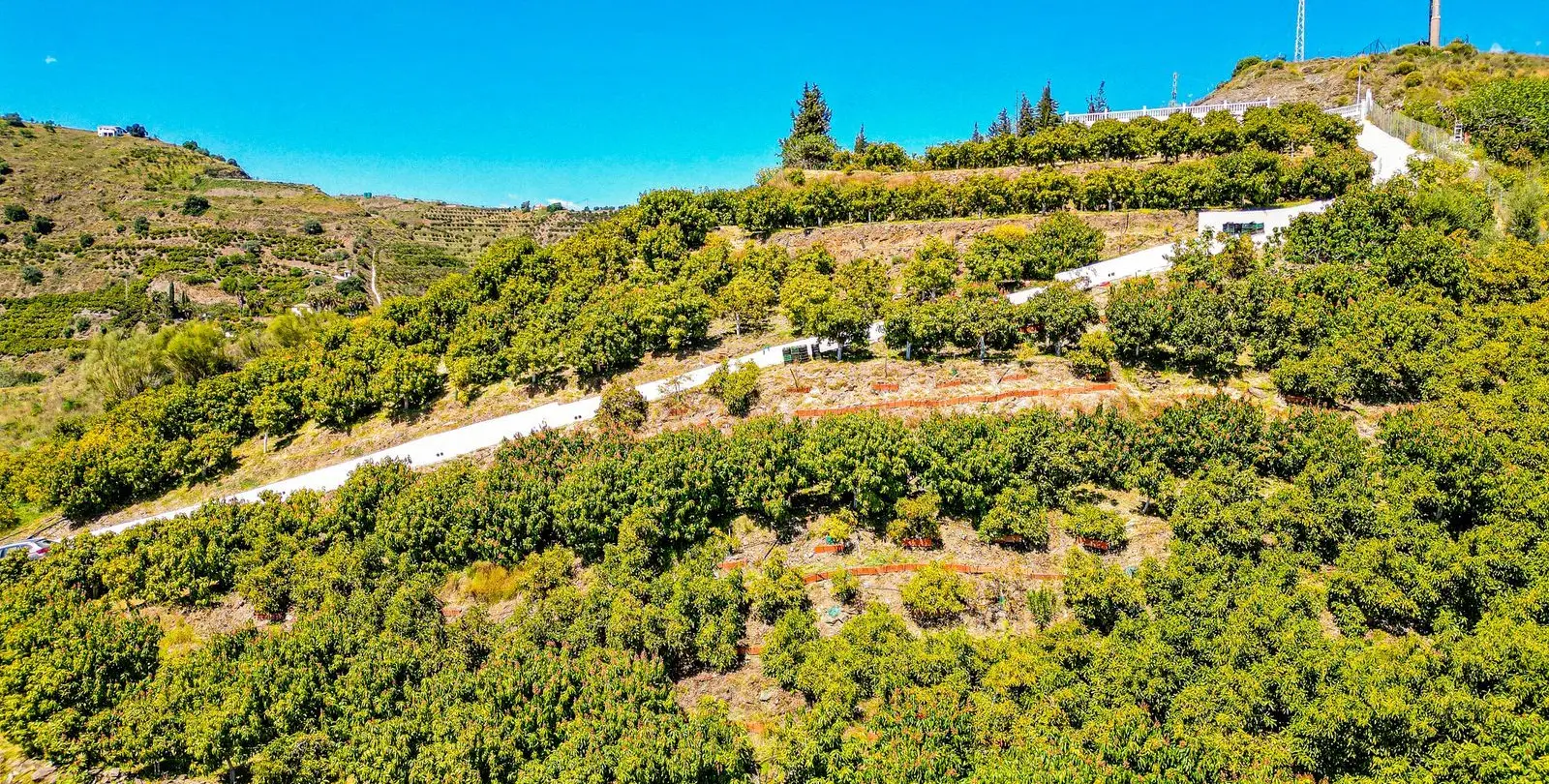 Venta de villa independiente en La Viñuela 50