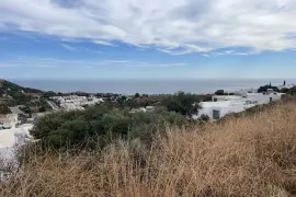 Image 2 thumb