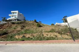 Image 6 thumb