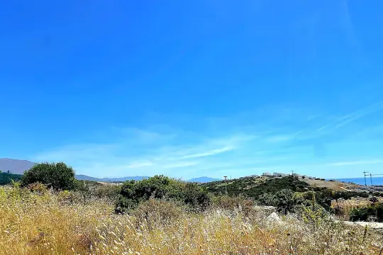 Image 4 thumb