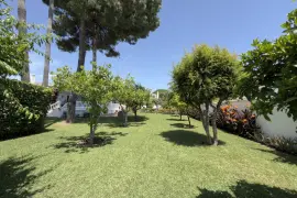 Image 5 thumb