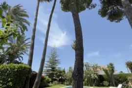 Image 6 thumb