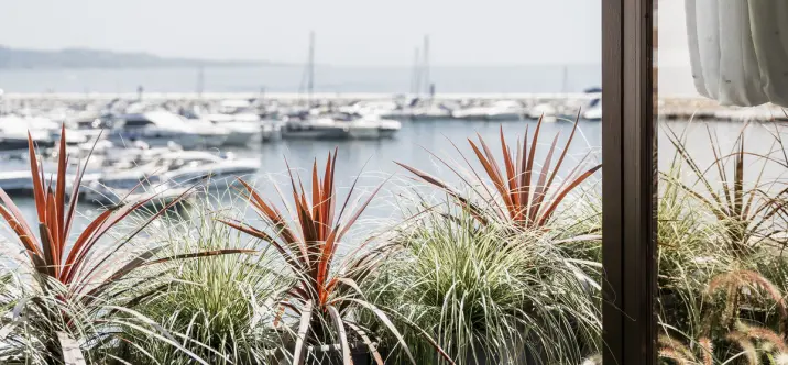 Venta de dúplex en Puerto Banús 3