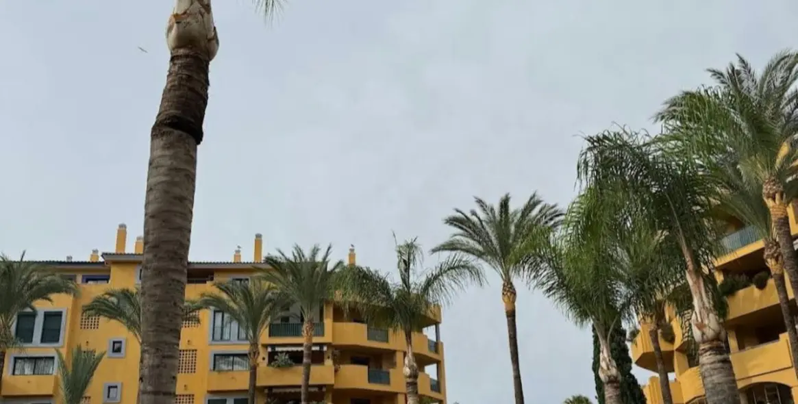 Long-term rent of ground floor apartment in San Pedro de Alcántara 2
