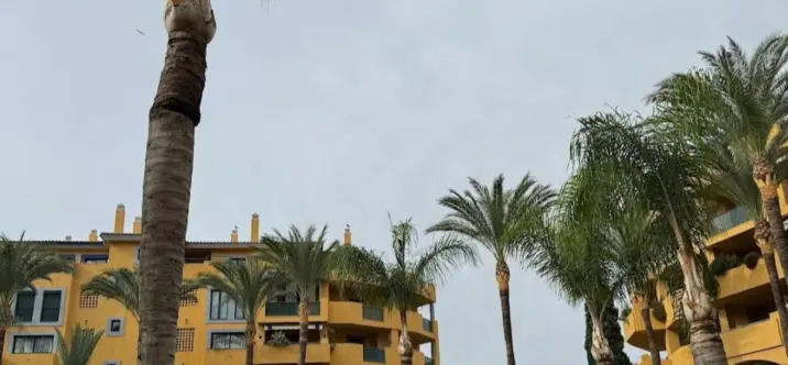 Long-term rent of ground floor apartment in San Pedro de Alcántara 1