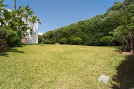 Image 65 thumb