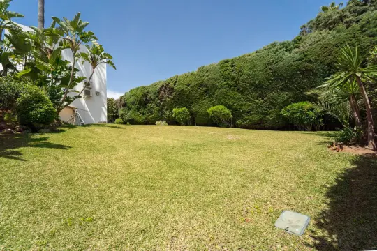 Image 66 thumb
