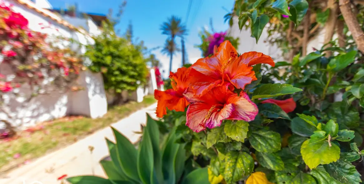 Venta de villa independiente en Estepona 11