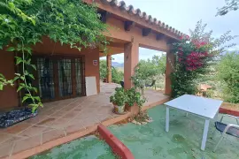 Image 4 thumb