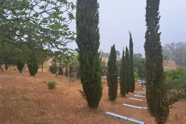 Image 6 thumb