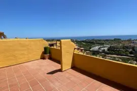 Image 4 thumb