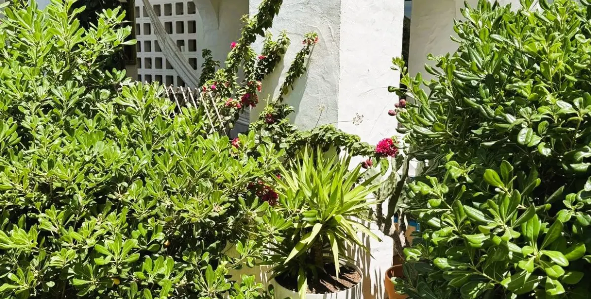 Venta de apartamento en planta baja en Manilva 4