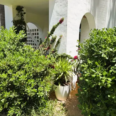 Sale of ground floor apartment in Manilva
