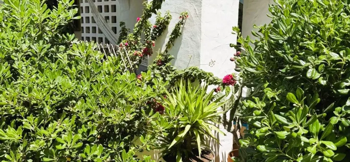 Sale of ground floor apartment in Manilva 3