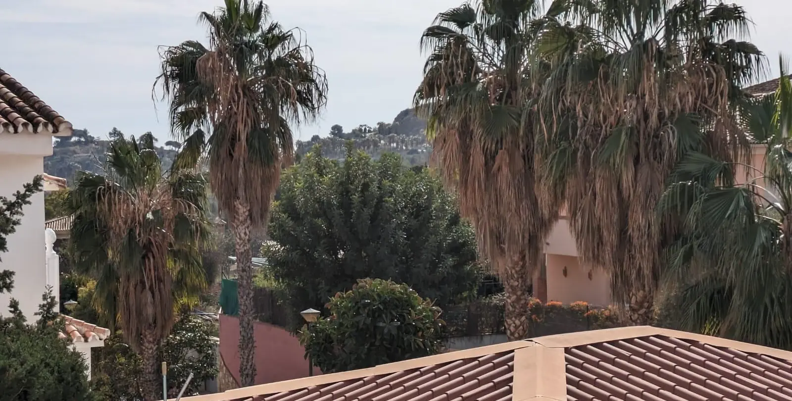 Sale of detached villa in Benalmadena 29