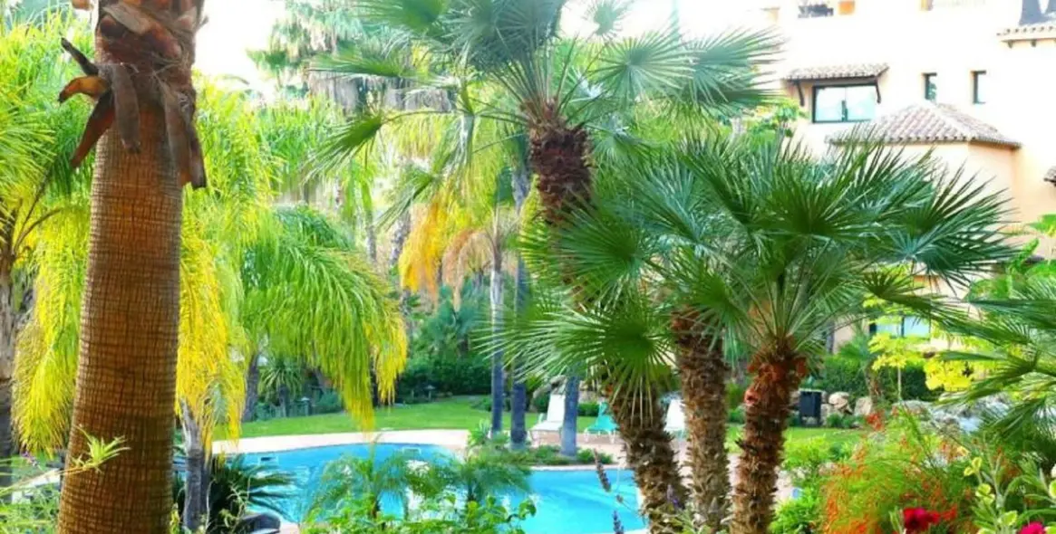 Long-term rent of middle floor apartment in El Paraiso 18