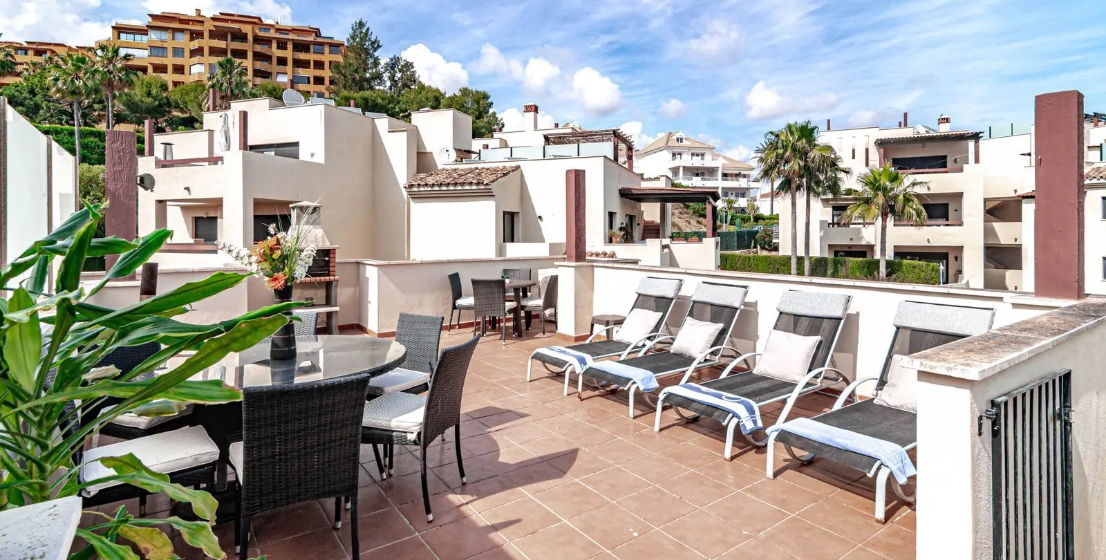 Sale of penthouse in Selwo 15