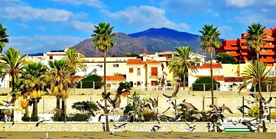Alquiler a corto plazo de apartamento en planta media en Estepona 3