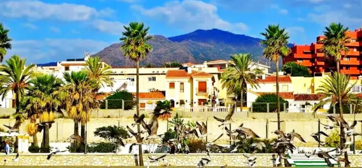 Alquiler a corto plazo de apartamento en planta media en Estepona 2