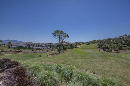 Image 17 thumb